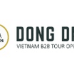 Profile picture of Dong DMC