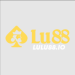 Profile picture of lulu88io