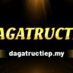 Profile picture of DAGATRUCTIEP
