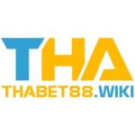 Profile picture of thabet88wiki