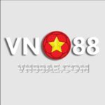 Profile picture of VN88