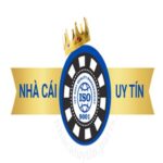 Profile picture of nhacaiuytinparis1