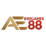 Profile picture of ae88dxfgames