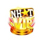 Profile picture of nhatvip333dev