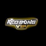 Profile picture of keobongviptop1