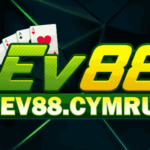 Profile picture of ev88cymru