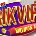 Profile picture of Rikvip Sân chơi cá cược đẳng cấp số 1 Châu Á
