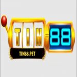 Profile picture of Tin88 Cổng game xanh chín Live Casino Đá Gà uy tín