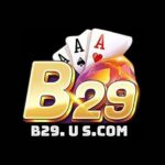 Profile picture of b29uscom