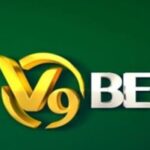 Profile picture of v9betart