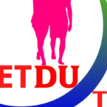 Profile picture of Du Lịch Việt Du Tour Trong Nước