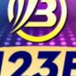 Profile picture of 123bcontractors