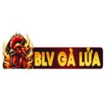 Profile picture of BLV GÀ LỬA