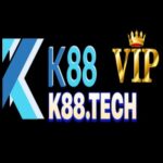 Profile picture of k88tech