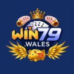 Profile picture of win79wales
