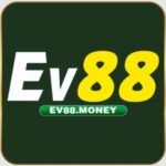 Profile picture of Ev88