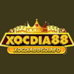 Profile picture of XocDia88 - Cổng Game Xóc Đĩa Online, Đổi Thưởng Uy Tín Nhất 2025