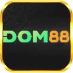 Profile picture of Dom88