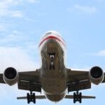 Profile picture of hallieramos