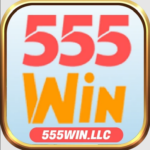 Profile picture of 555winllc