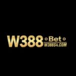 Profile picture of W388s4