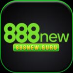 Profile picture of 888New