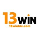 Profile picture of 13winbiz Com