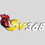 Profile picture of sv368dagacom