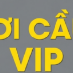 Profile picture of Soi cầu Vip