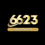 Profile picture of 6623