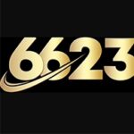 Profile picture of 6623Vn