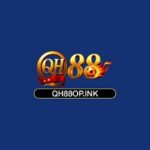 Profile picture of QH88