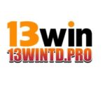 Profile picture of 13WIN