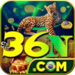 Profile picture of 36N BET