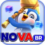Profile picture of NOVABR