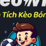 Profile picture of Keowin Phân tích kèo nhà cái bóng đá