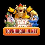 Profile picture of topnhacaiinnet