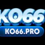Profile picture of ko66