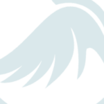 Profile picture of chim canh quy tran