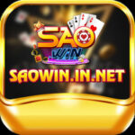 Profile picture of saowininnet