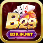 Profile picture of b29innet