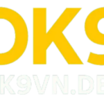 Profile picture of ok9vndev ok9vndev