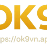 Profile picture of ok9vnapp ok9vnapp