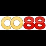 Profile picture of co88store