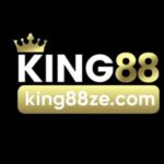 Profile picture of king88