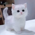 Profile picture of tinexot523