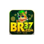 Profile picture of br37