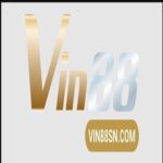 Profile picture of Vin88