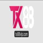 Profile picture of TX88