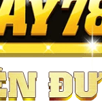 Profile picture of bay789gz bay789gz